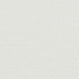 /common/images/fabrics/large/ASIA!CLOUD 020.jpg