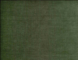 /common/images/fabrics/large/BELMONT!BAYLEAF 376.jpg