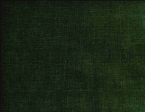 /common/images/fabrics/large/BELMONT!BONSAI 360.jpg