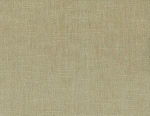 /common/images/fabrics/large/BELMONT!CHAMPAGNE 207.jpg
