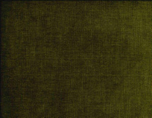 /common/images/fabrics/large/BELMONT!LODEN 333.jpg