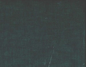 /common/images/fabrics/large/BIXBY!ABYSS 301.jpg