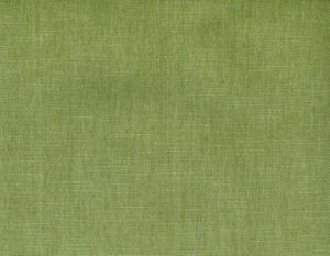 /common/images/fabrics/large/BIXBY!ALOE 373.jpg