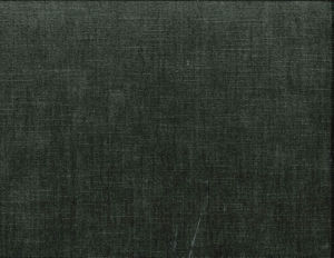 /common/images/fabrics/large/BIXBY!ANVIL 959.jpg