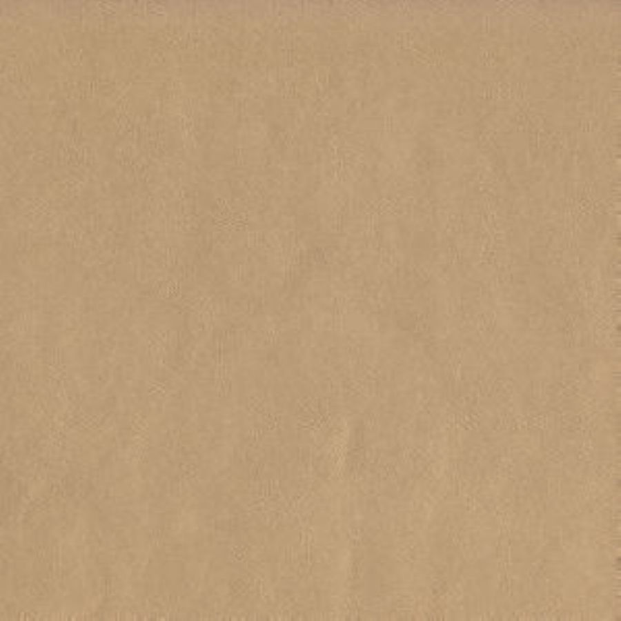 /common/images/fabrics/large/CAPITAL!CHAMPAGNE 102.jpg