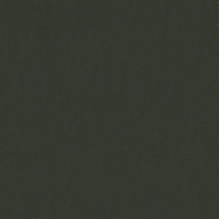 /common/images/fabrics/large/CAPITAL!CHINCHILLA 908.jpg