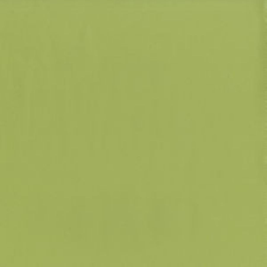 /common/images/fabrics/large/CAPITAL!MEADOW 21.jpg