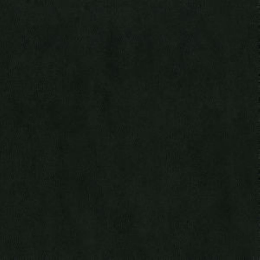 /common/images/fabrics/large/CAPITAL!RAVEN 909.jpg