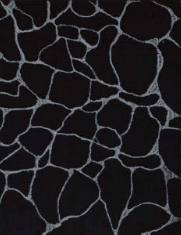 /common/images/fabrics/large/DARWIN!NOIR 947.jpg