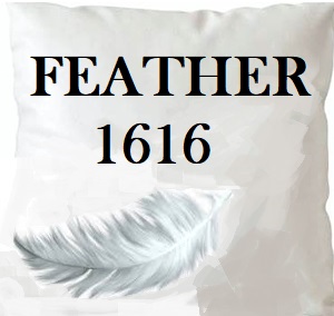 /common/images/fabrics/large/FEATHER 1616!INSERT 16X16.jpg