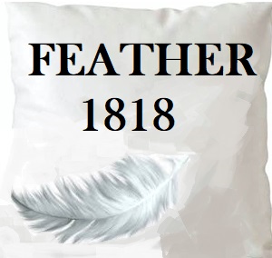 /common/images/fabrics/large/FEATHER 1818!INSERT 18X18.jpg