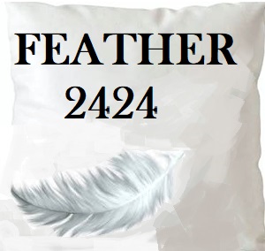 /common/images/fabrics/large/FEATHER 2424!INSERT 24X24.jpg