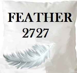 /common/images/fabrics/large/FEATHER 2727!INSERT 27X27.jpg