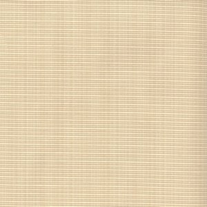 /common/images/fabrics/large/GALLO!BONE 24.jpg