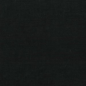 /common/images/fabrics/large/HUDSON!CAVIAR 9009.jpg