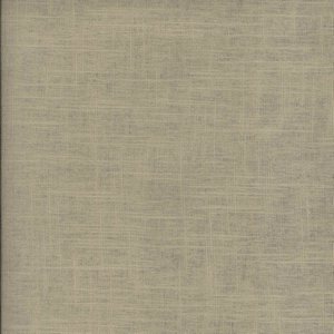 /common/images/fabrics/large/JINGLE!PUTTY 103.jpg