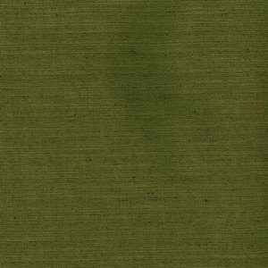 /common/images/fabrics/large/KONA!AVOCADO 19.jpg