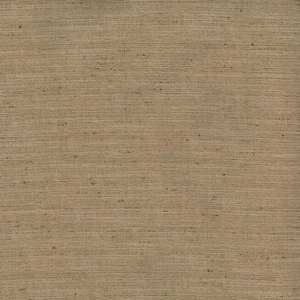 /common/images/fabrics/large/KONA!BARLEY 7.jpg