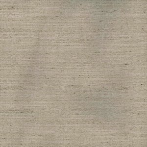 /common/images/fabrics/large/KONA!NATURAL 6.jpg