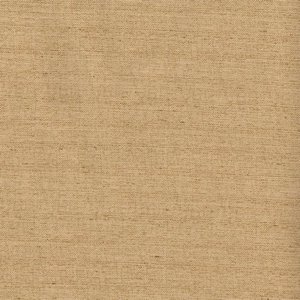 /common/images/fabrics/large/KONA!SAND 8.jpg