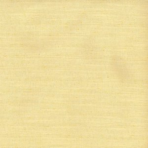 /common/images/fabrics/large/KONA!SUNSHINE 17.jpg