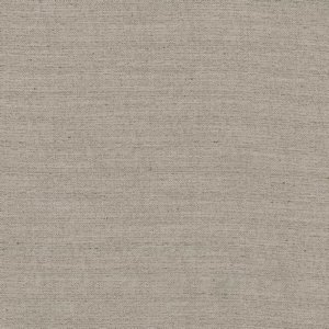 /common/images/fabrics/large/KONA!TWIG 5.jpg