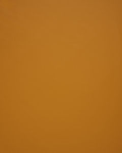 /common/images/fabrics/large/LUCKY!OCHRE.jpg