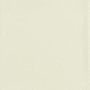 /common/images/fabrics/large/MENTOR!MYSTIC WHITE 61.jpg