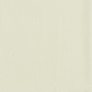 /common/images/fabrics/large/MENTOR!OFF WHITE 66.jpg
