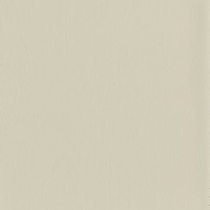 /common/images/fabrics/large/MENTOR!OYSTER WHITE 6009.jpg