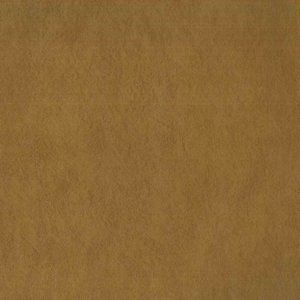 /common/images/fabrics/large/MENTOR!RAWHIDE 8884.jpg