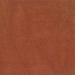 /common/images/fabrics/large/MENTOR!RUST 84.jpg