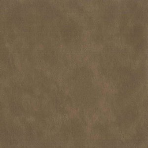 /common/images/fabrics/large/MENTOR!SPICE 805.jpg