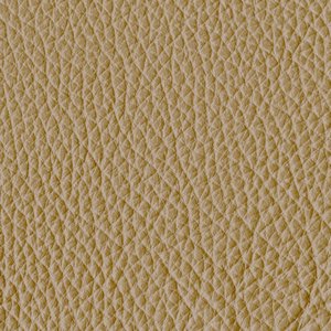 /common/images/fabrics/large/MOORE!MUSHROOM 1087.jpg