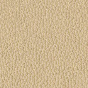 /common/images/fabrics/large/MOORE!NATURAL 1819.jpg