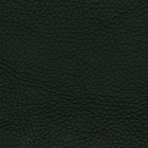 /common/images/fabrics/large/NAPA!EMERALD.jpg