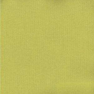 /common/images/fabrics/large/PABLO!ACID GREEN 244.jpg