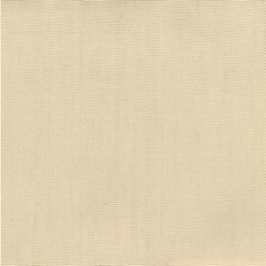 /common/images/fabrics/large/PABLO!CANVAS 106.jpg