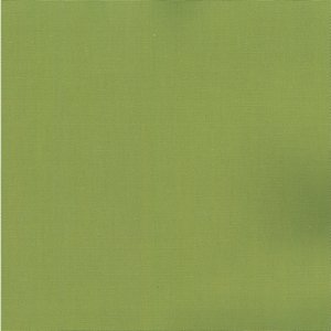 /common/images/fabrics/large/PABLO!LEAF 280.jpg