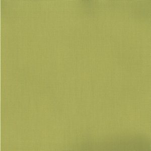 /common/images/fabrics/large/PABLO!PEAT MOSS 245.jpg