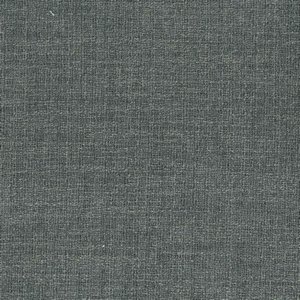 /common/images/fabrics/large/PASSION!GUNMETAL.jpg