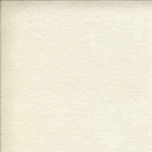 /common/images/fabrics/large/PLAZA!IVORY 202.jpg