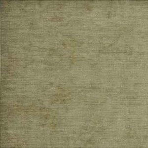 /common/images/fabrics/large/PLAZA!LICHEN 349.jpg