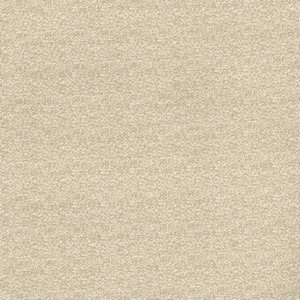 /common/images/fabrics/large/ROSINO!BEIGE 11.jpg