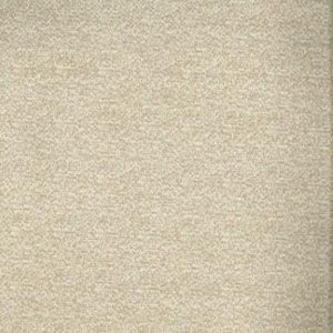 /common/images/fabrics/large/Rozel!Beige.jpg
