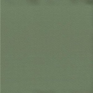 /common/images/fabrics/large/SAIGON!ASPEN.jpg