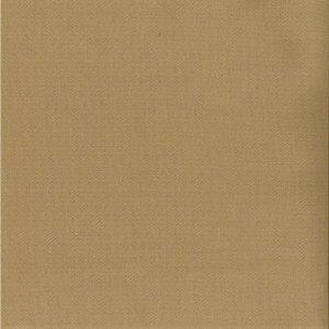 /common/images/fabrics/large/SAIGON!BRAMBLE.jpg