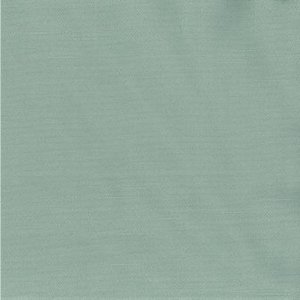 /common/images/fabrics/large/SAIGON!CELADON.jpg