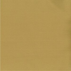 /common/images/fabrics/large/SAIGON!CHAMOMILE.jpg