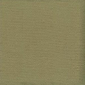 /common/images/fabrics/large/SAIGON!CHICORY.jpg